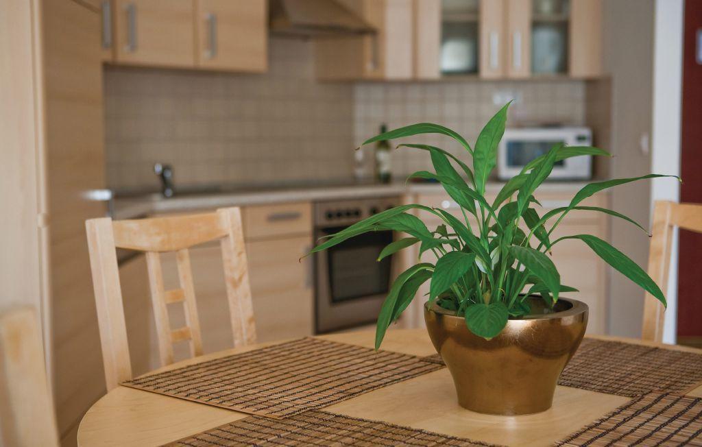 Bpm-Apartment Kiraly Budapeşte Oda fotoğraf
